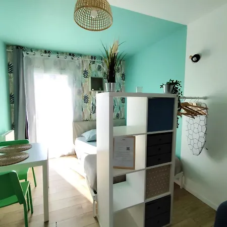 Beau Soigne Avec Terrasse Partagee * Brest