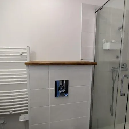 Beau Soigne Avec Terrasse Partagee Lejlighed