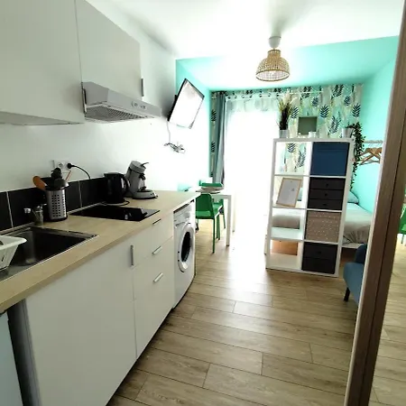 Appartement Beau Soigné Avec Terrasse Partagée Brest