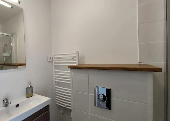 Appartamento Beau Soigné Avec Terrasse Partagée